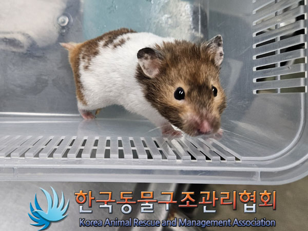 한국동물구조관리협회_411309202300465