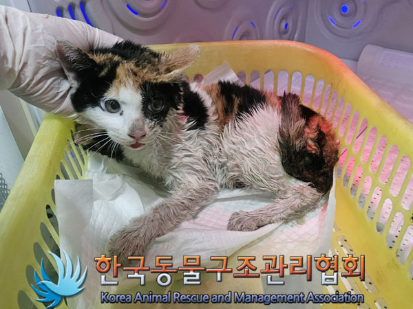 한국동물구조관리협회_411318202300564