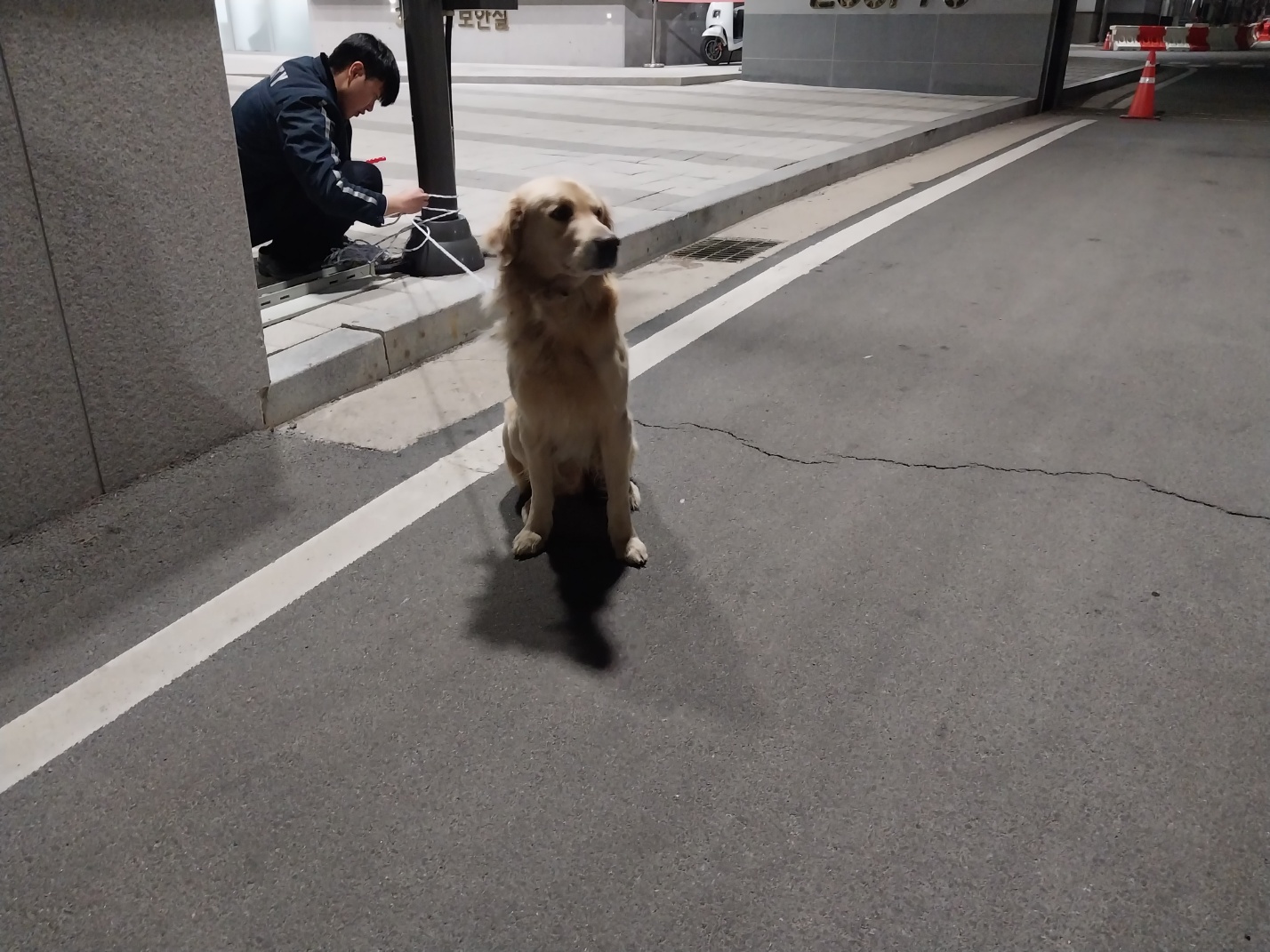 (사)영일동물플러스_447502202301559