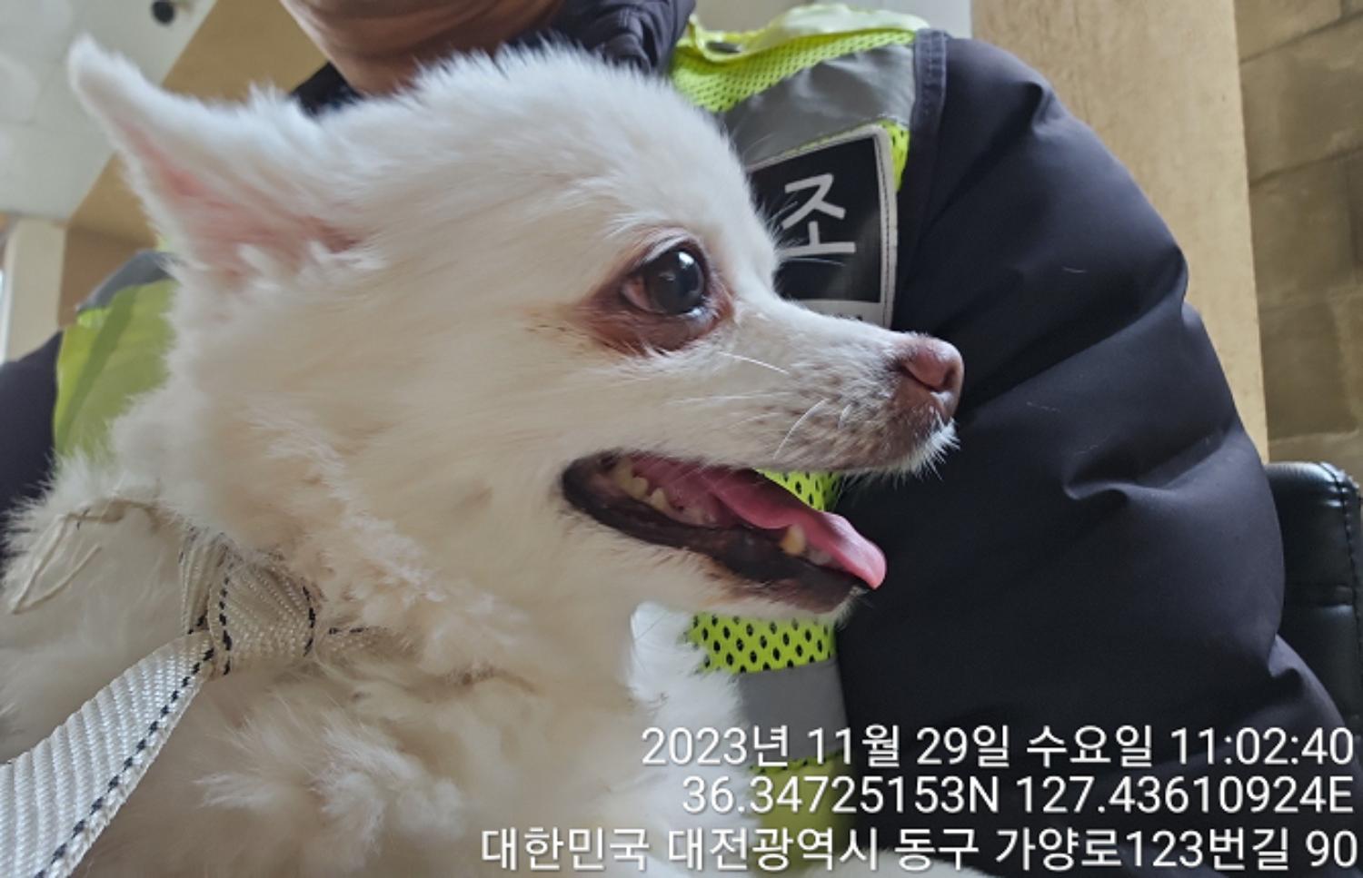 대전동물보호센터_430364202300367