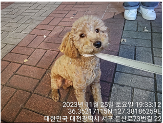 대전동물보호센터_430366202300732