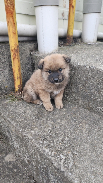 익산유기동물보호소_445468202302262