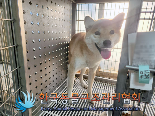 종료(반환) 시바의…