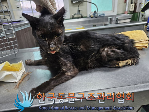 종료(자연사) 한국…