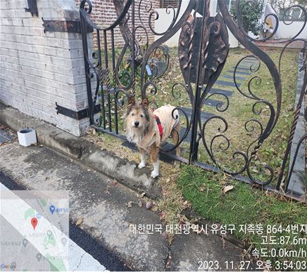 대전동물보호센터_430367202300760