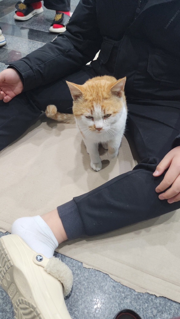 익산유기동물보호소_445468202302272
