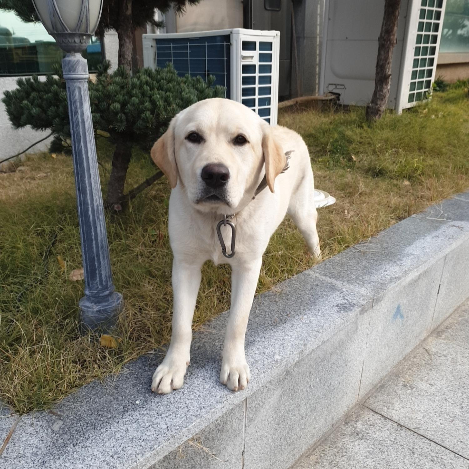 종료(반환) 라브라…