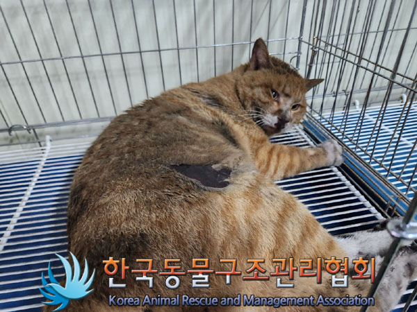 종료(자연사) 한국…