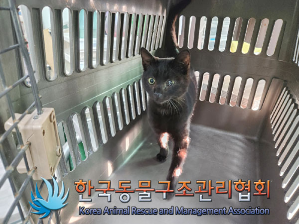 종료(자연사) 한국…