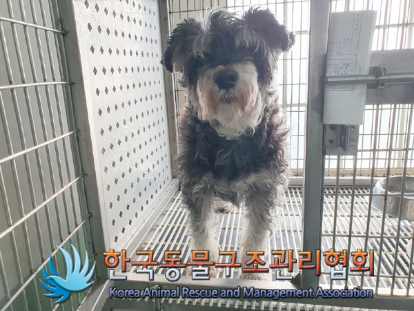 한국동물구조관리협회_411315202300780
