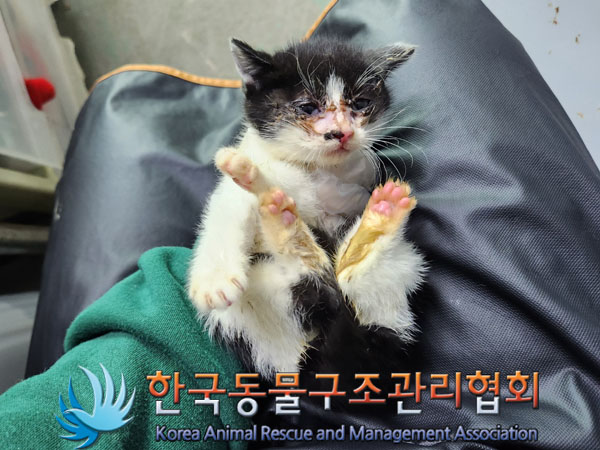 종료(자연사) 한국…
