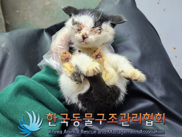 종료(자연사) 한국…