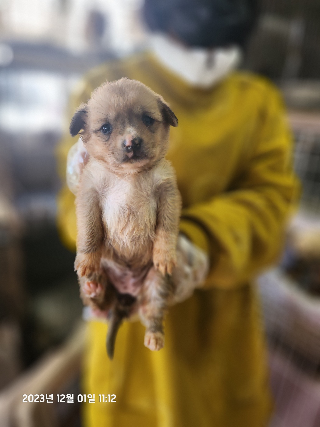 울산유기동물보호센터_431373202301437