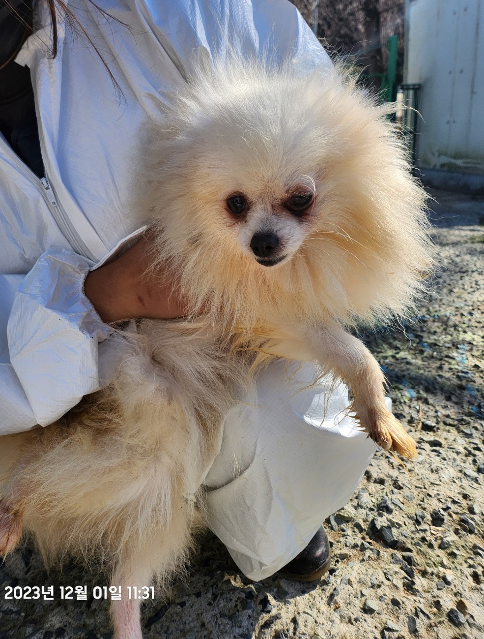 울산유기동물보호센터_431373202301438
