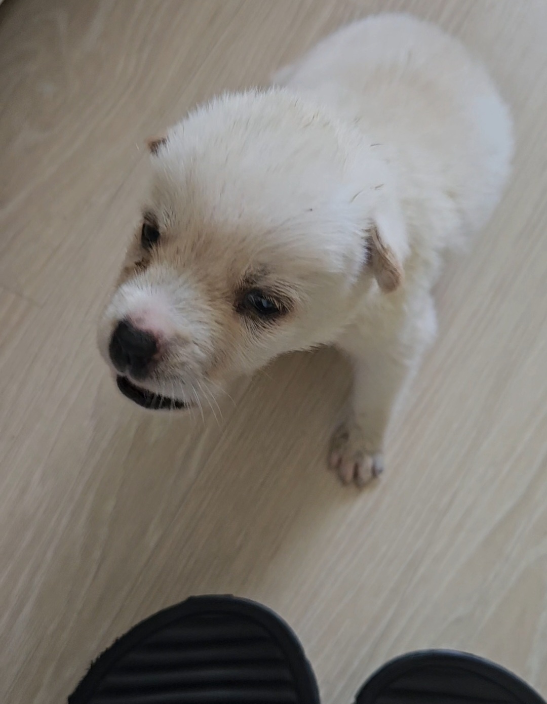 장성군동물보호센터_446498202300508