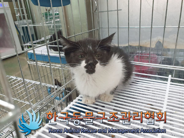 종료(자연사) 한국…