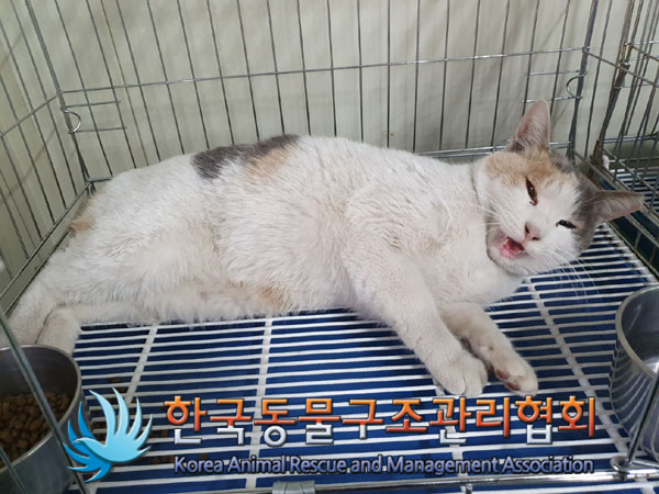 종료(자연사) 한국…