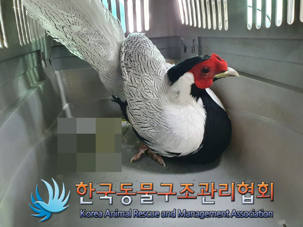 한국동물구조관리협회_411311202300994