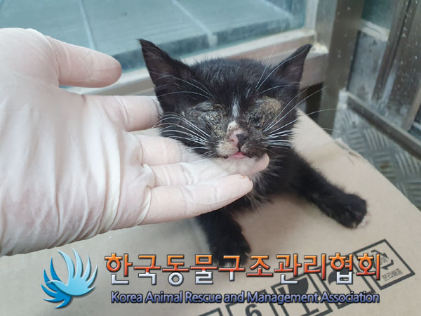 종료(자연사) 한국…