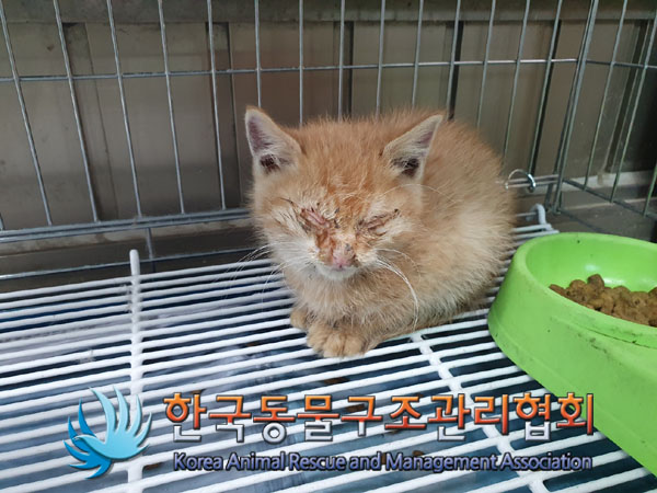 한국동물구조관리협회_411315202300781