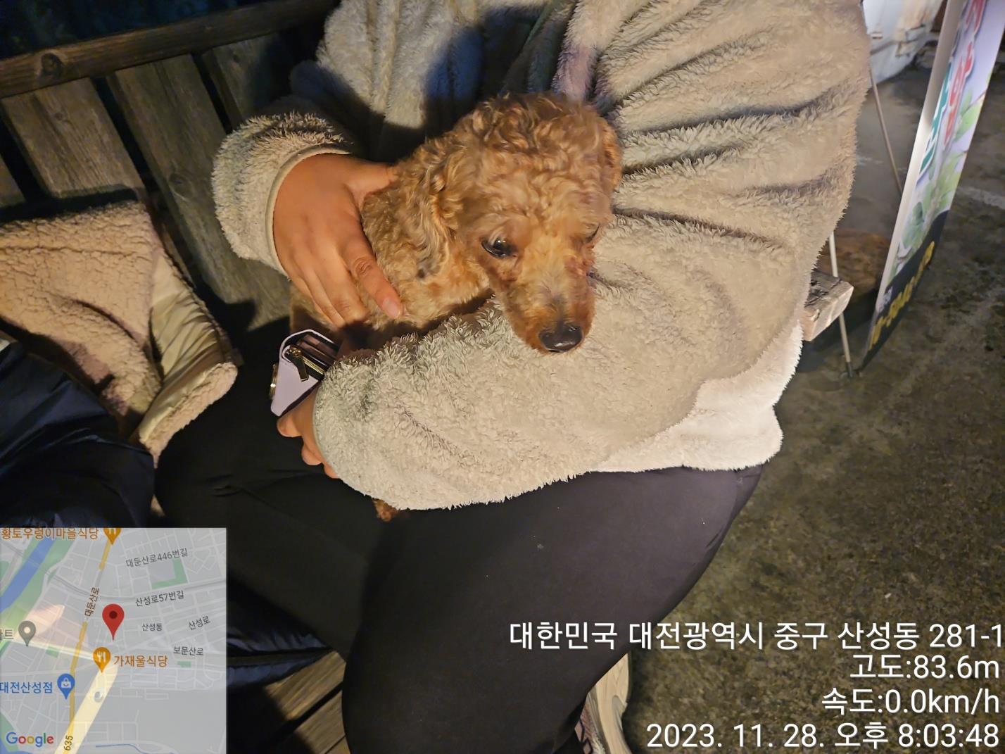 대전동물보호센터_430365202300611