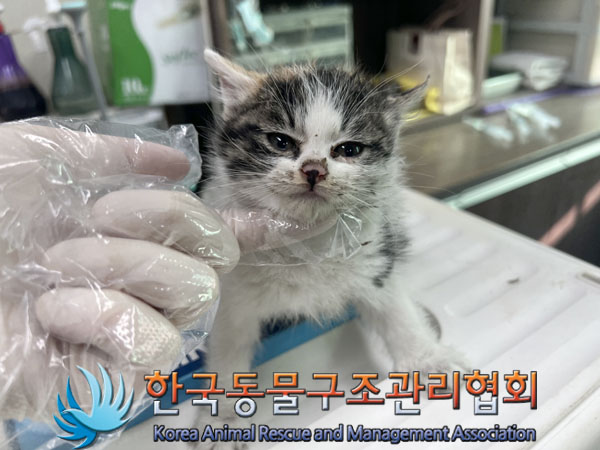 종료(자연사) 한국…