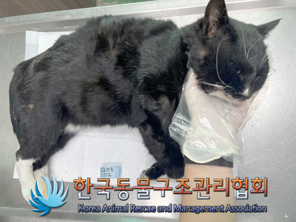 종료(자연사) 한국…