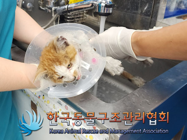 한국동물구조관리협회_411311202300995