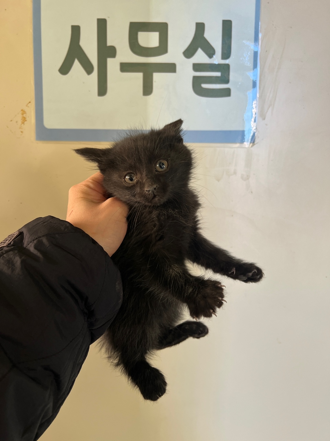 종료(자연사) 한국…