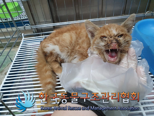 종료(자연사) 한국…