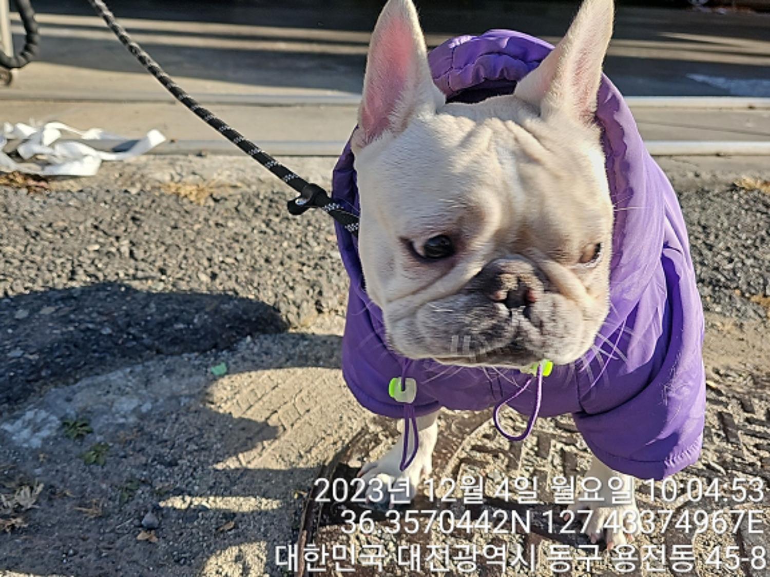 종료(반환) 프렌치…