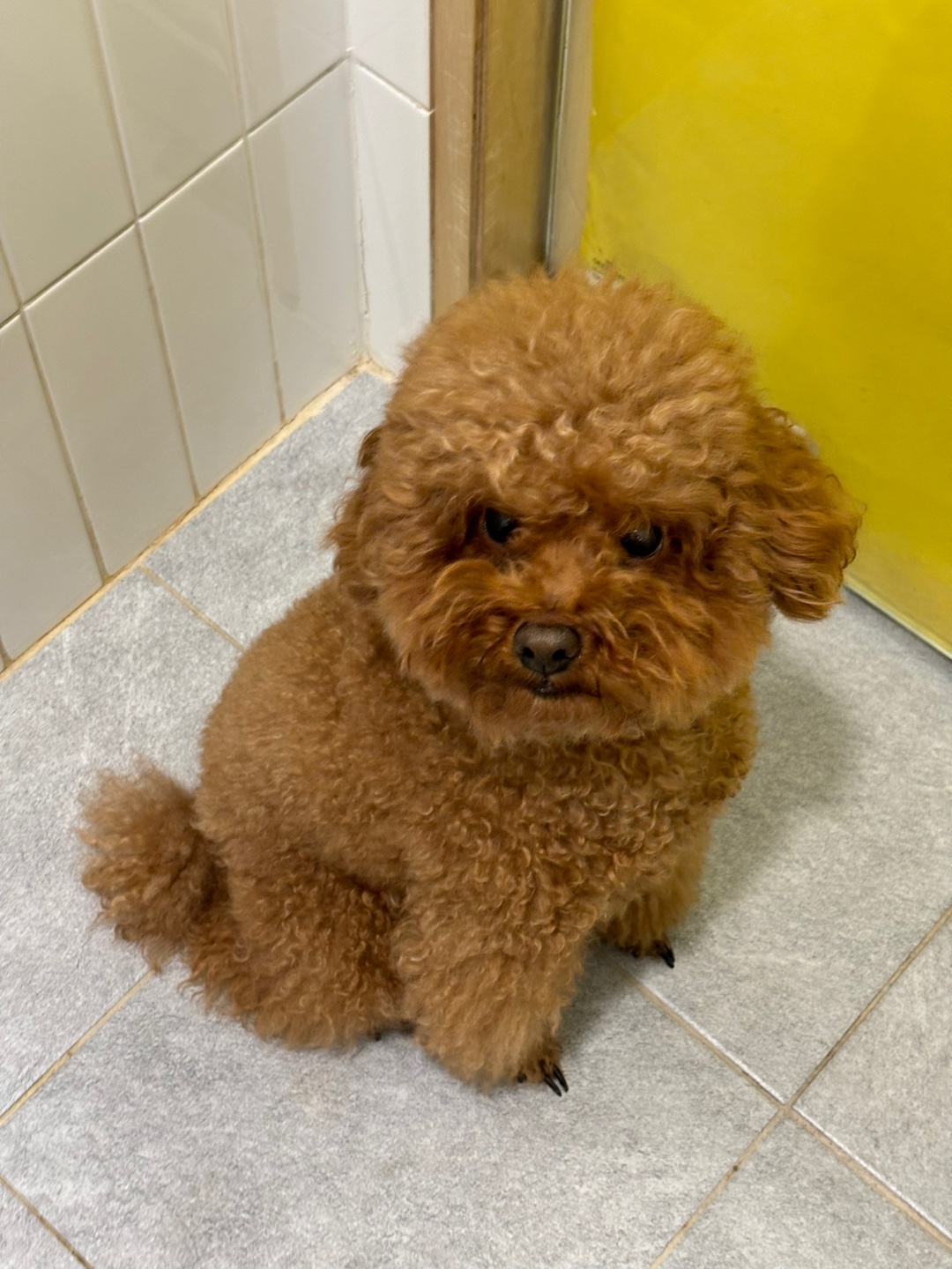 노원반려동물문화센터_411310202300629