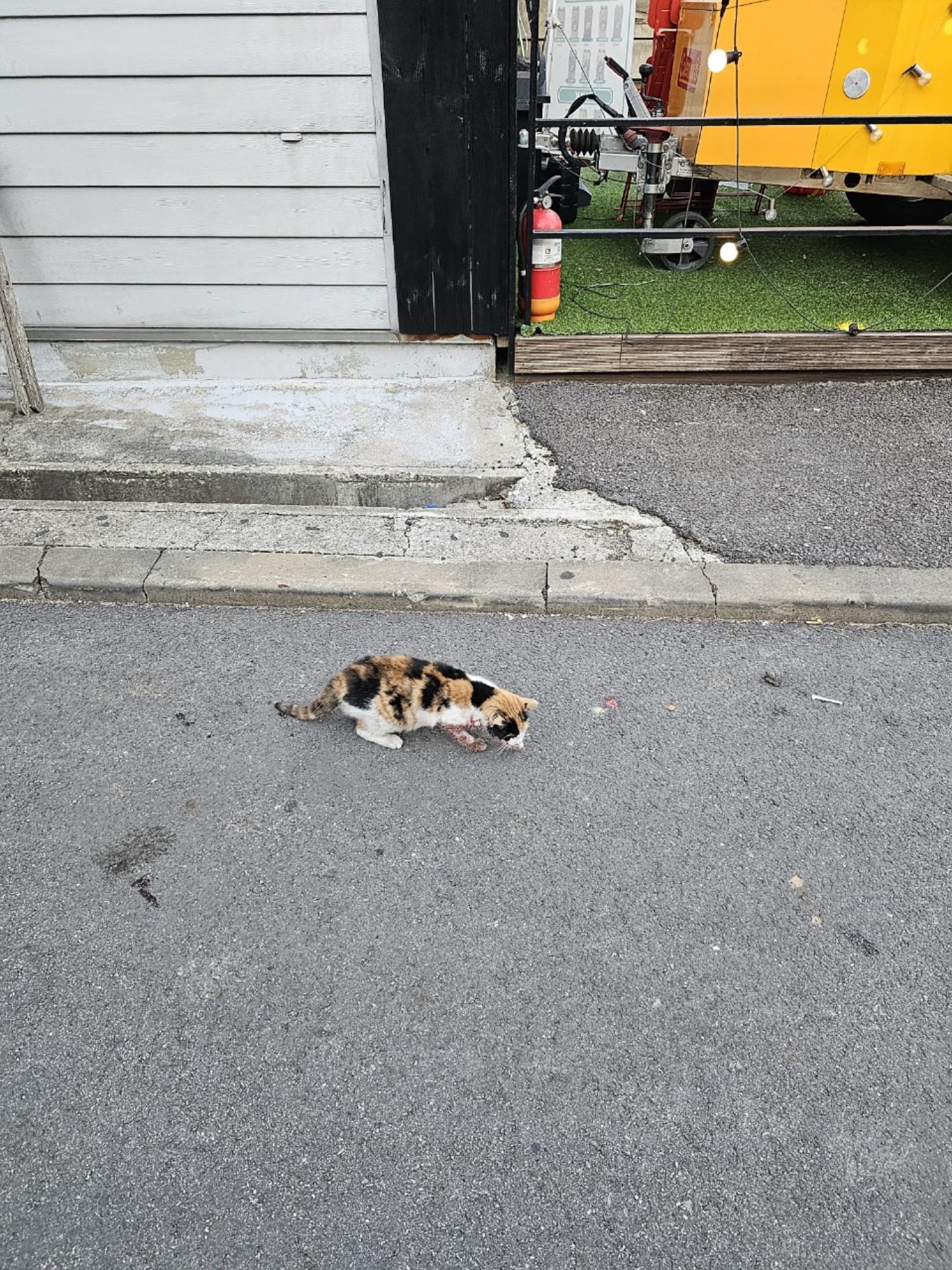 종료(안락사) 믹스…