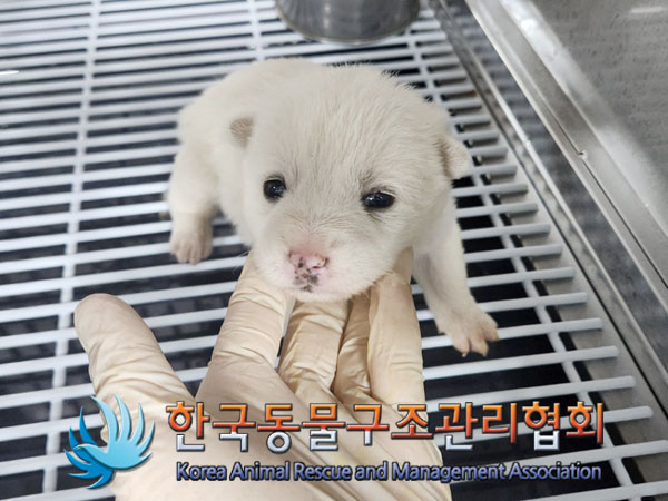 종료(자연사) 믹스…