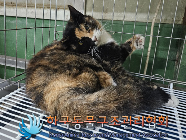 종료(자연사) 한국…
