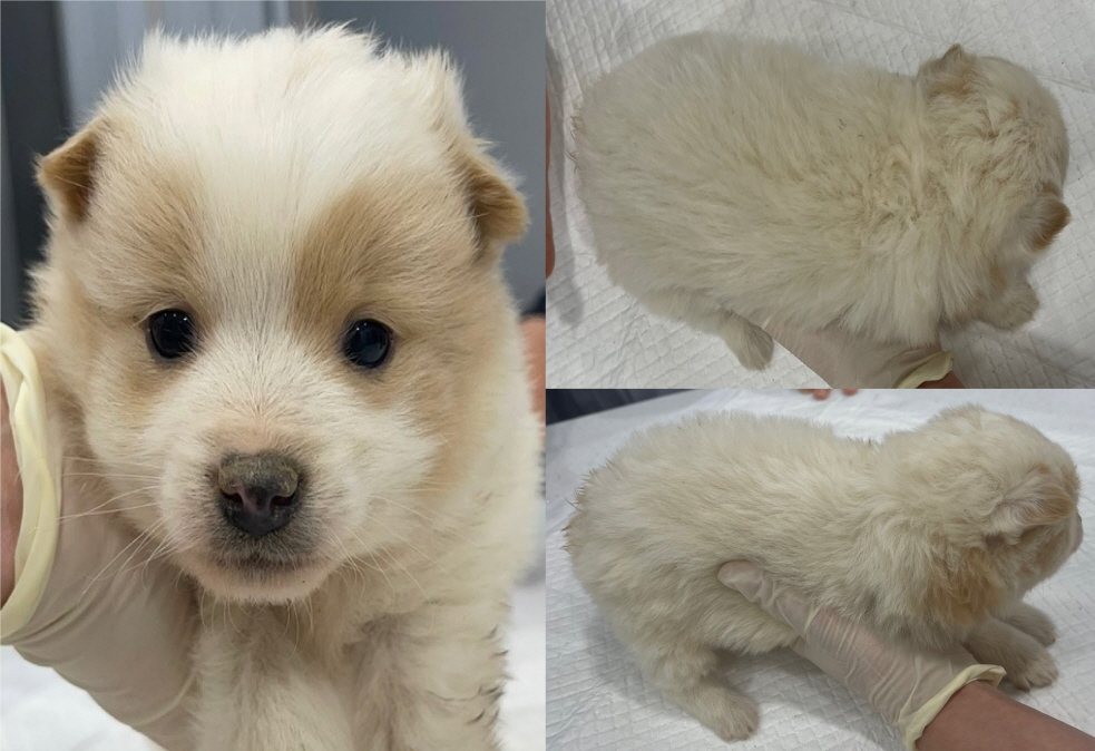 서산시 동물보호센터_444453202301224