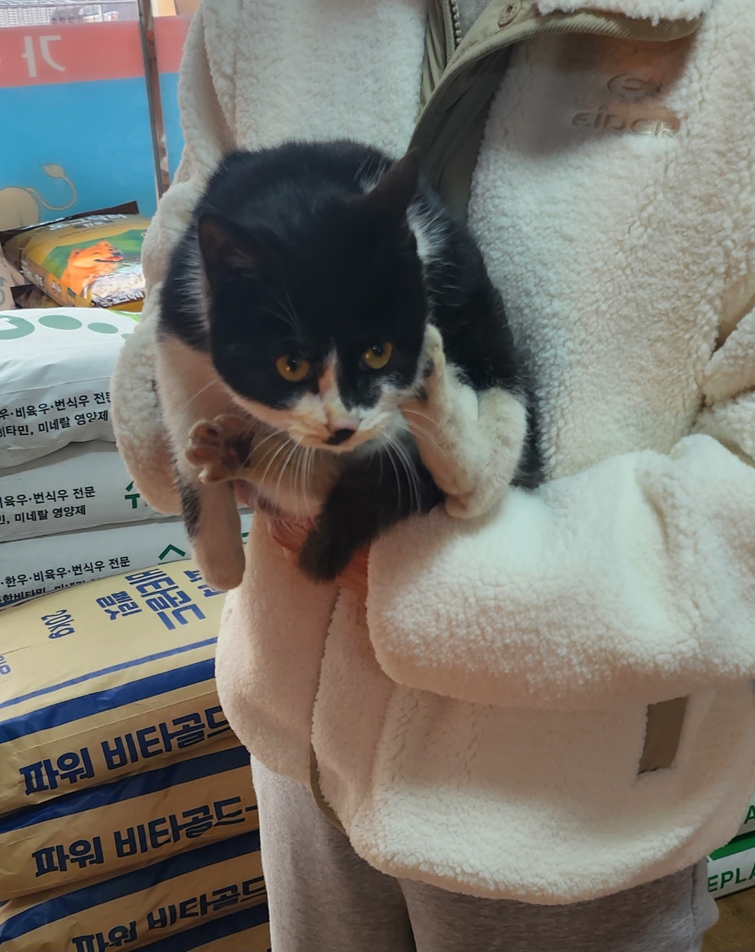 종합축산_447512202300823
