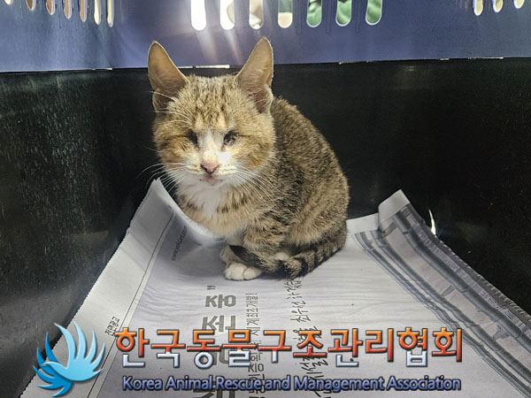 한국동물구조관리협회_411315202300777