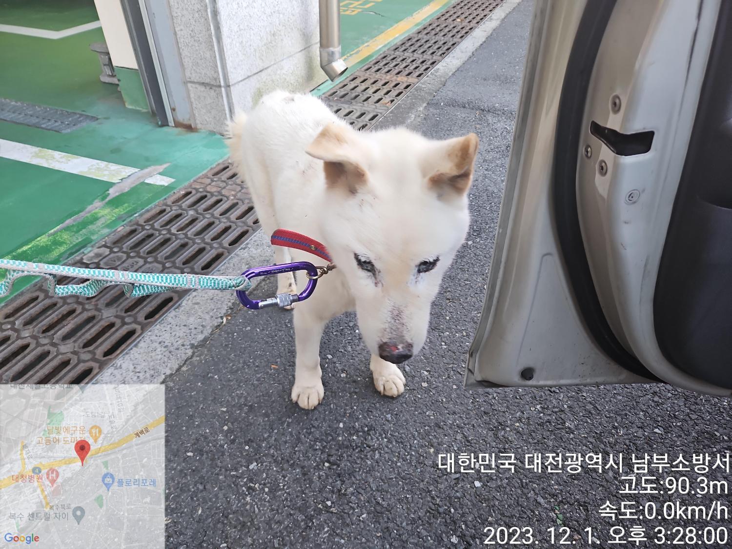 종료(자연사) 진도…
