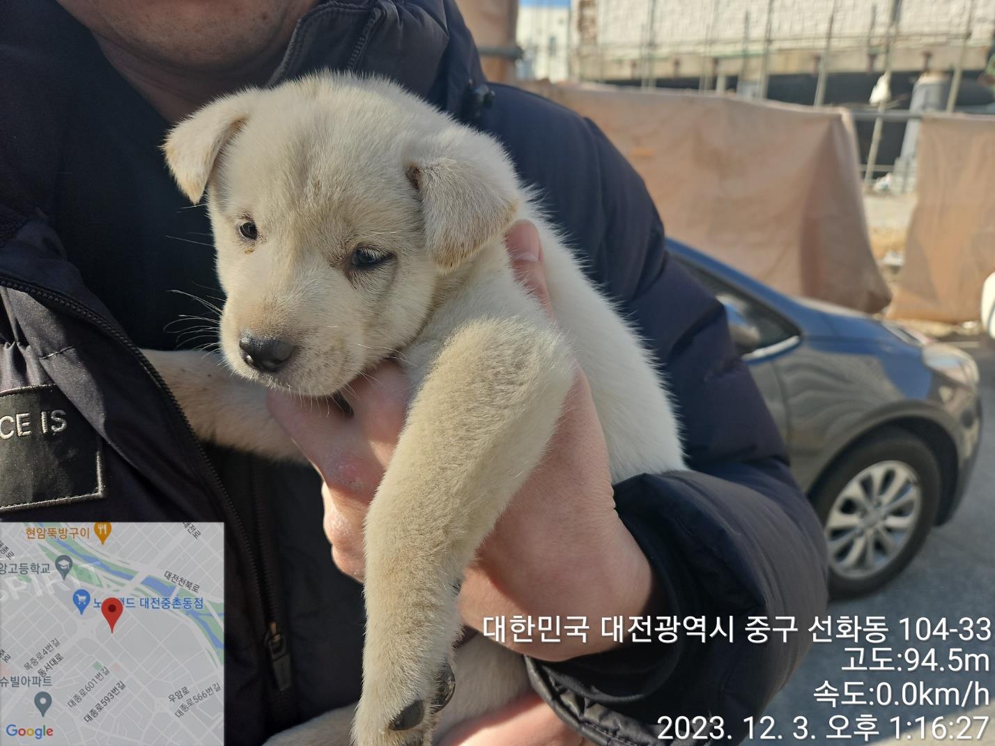 대전동물보호센터_430365202300614