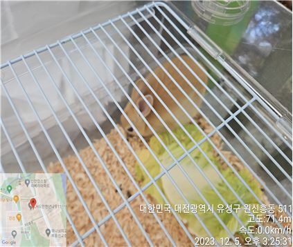 대전동물보호센터_430367202300839