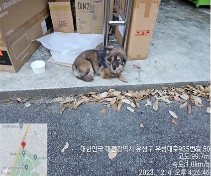 대전동물보호센터_430367202300836