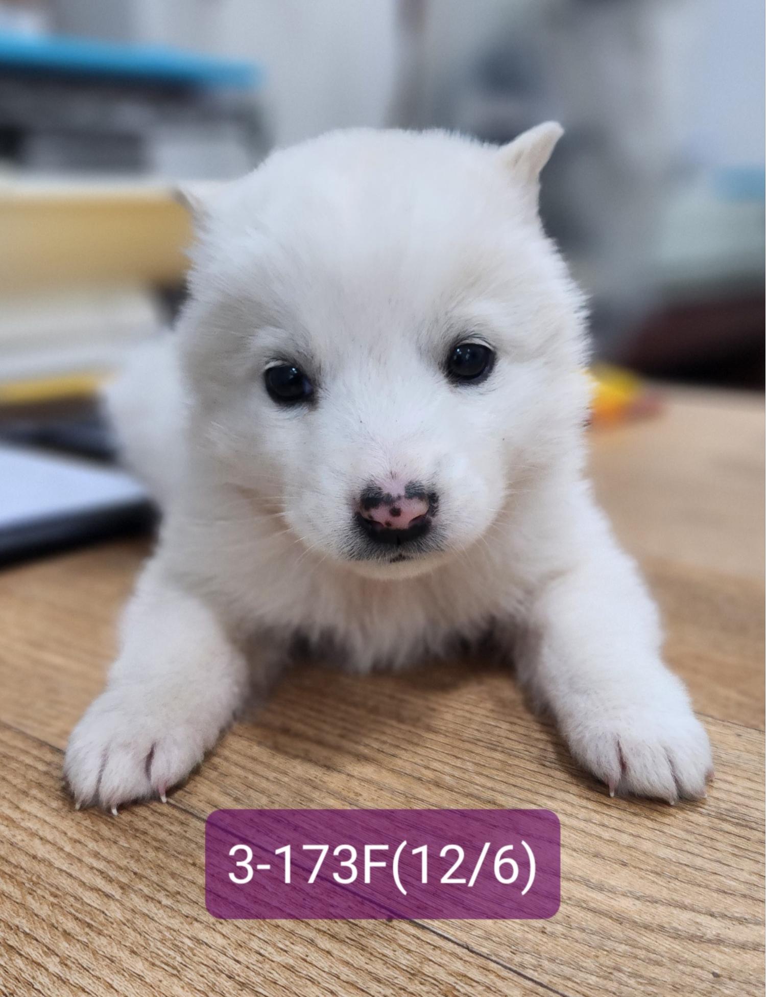 고성군유기동물보호소_448542202302491