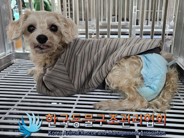 한국동물구조관리협회_411307202300559