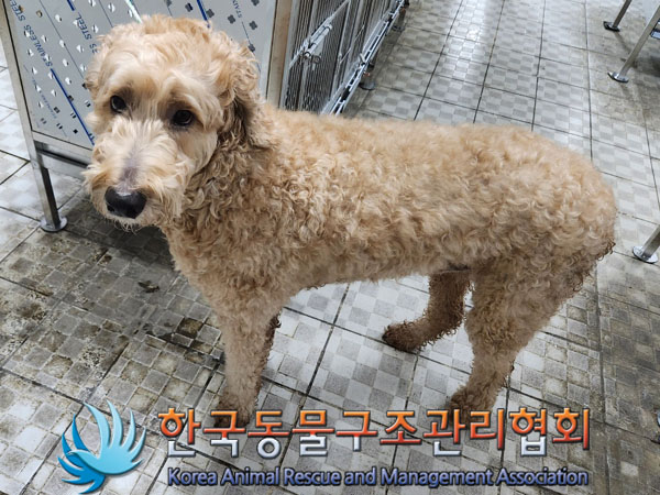 종료(반환) 골든두…