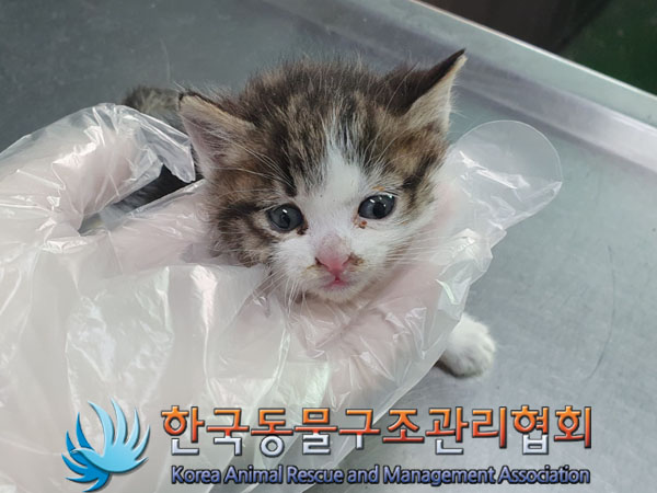 종료(자연사) 한국…