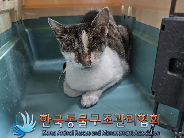 한국동물구조관리협회_411306202300861