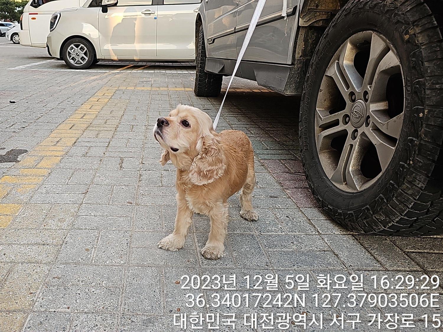 종료(반환) 코카 …