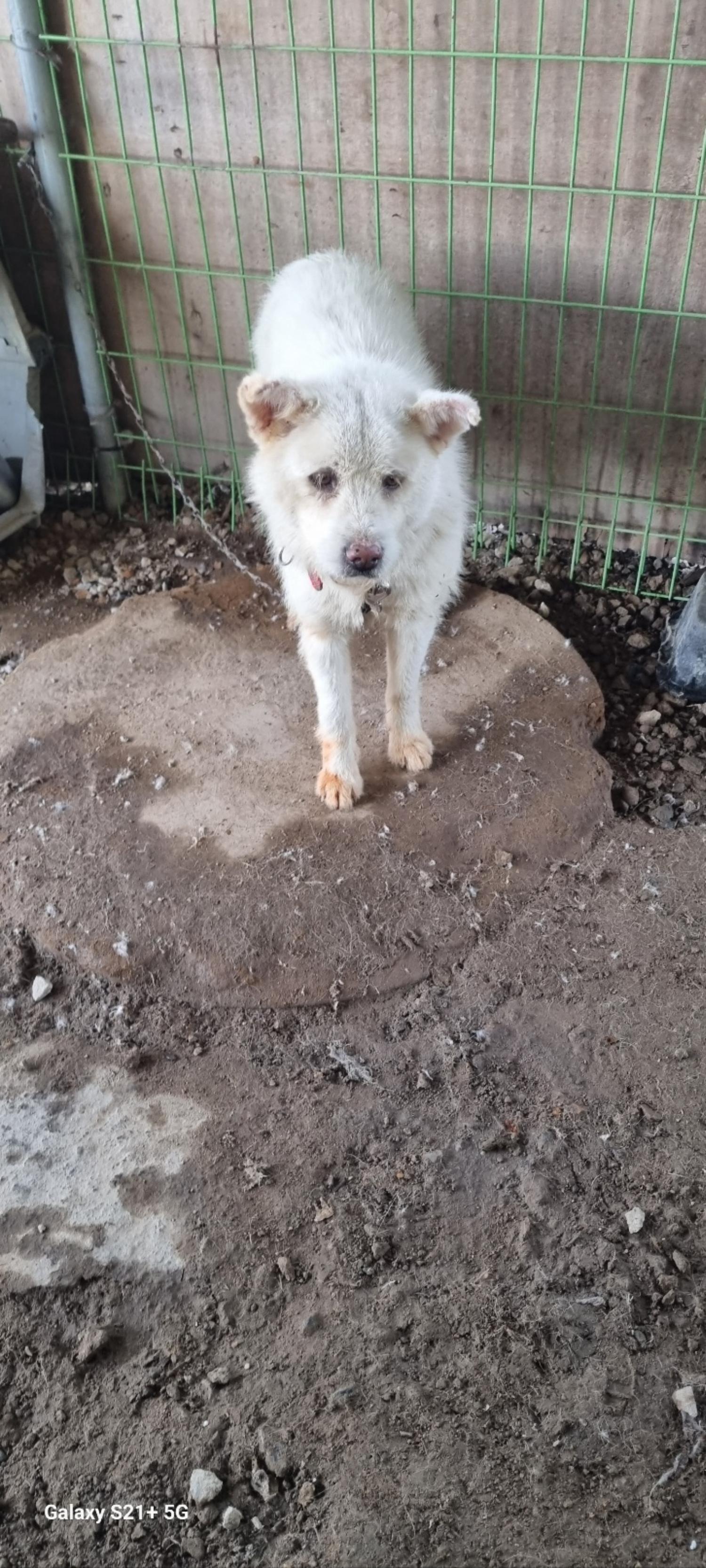 전북말산업복합센터_445471202300677