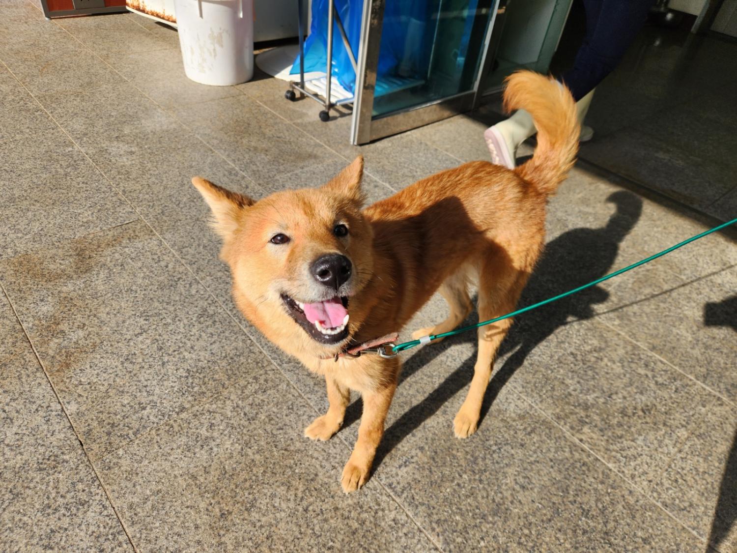 광주 동물보호소_429361202300705